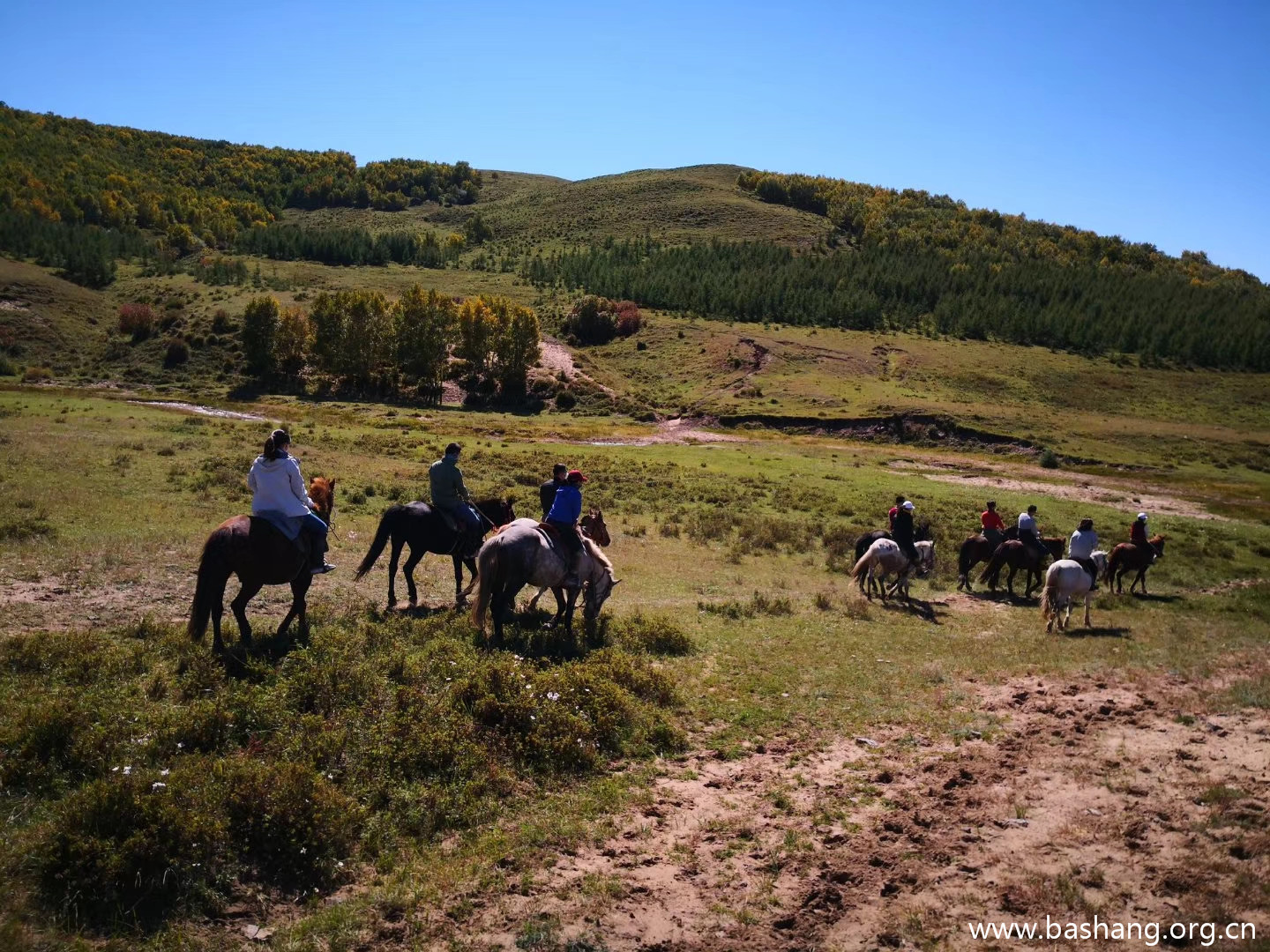 壩上草原團建項目