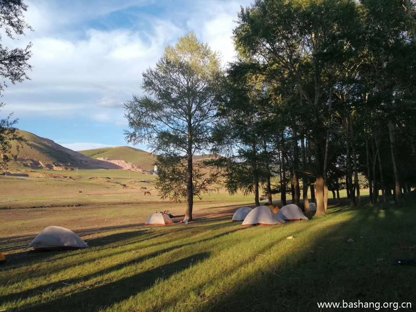 壩上草原團建項目