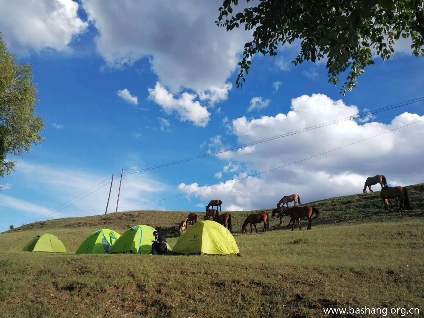 壩上草原團建項目